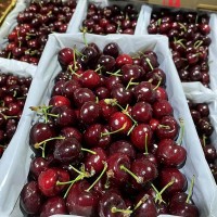 【顺丰快递】澳洲金考拉车厘子 28-30mm、30-32mm、32-34mm三种规格可选 2kg/箱